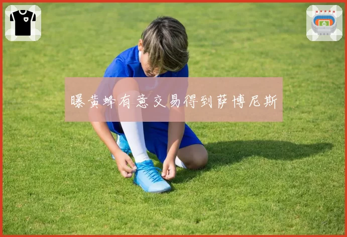曝黄蜂有意交易得到萨博尼斯