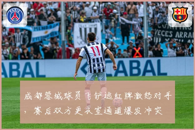 成都蓉城球员飞铲逃红牌激怒对手，赛后双方更衣室通道爆发冲突
