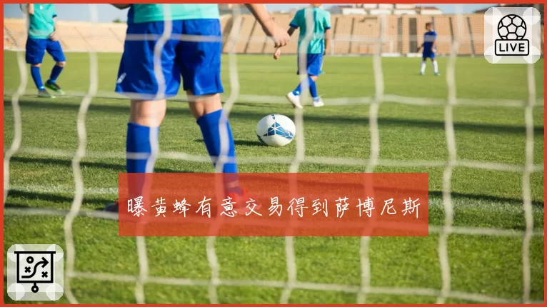 曝黄蜂有意交易得到萨博尼斯
